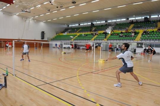 Tournoi Régional de Badminton (doubles et mixtes) de Vienne